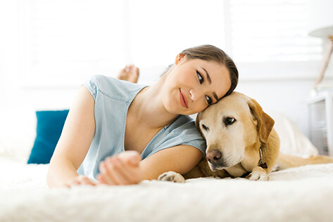 Pet Care